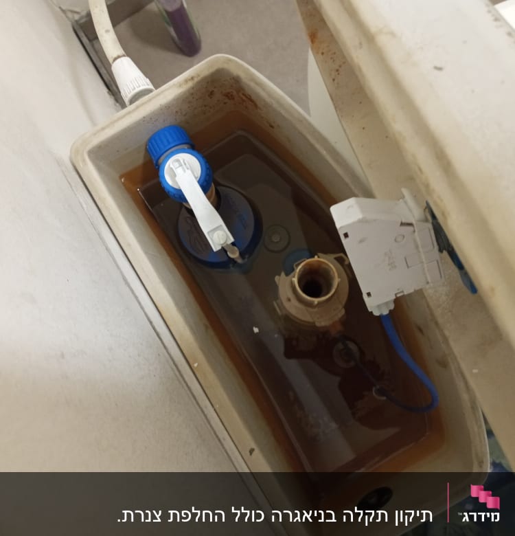 מיכל שירותים פתוח עם חלקים פנימיים גלויים